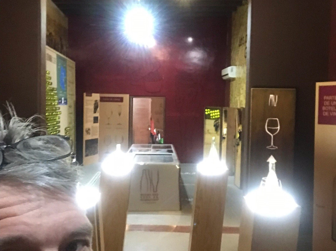 Museo del Vino de Guanajuato-Dolores Hidalgo必去景点