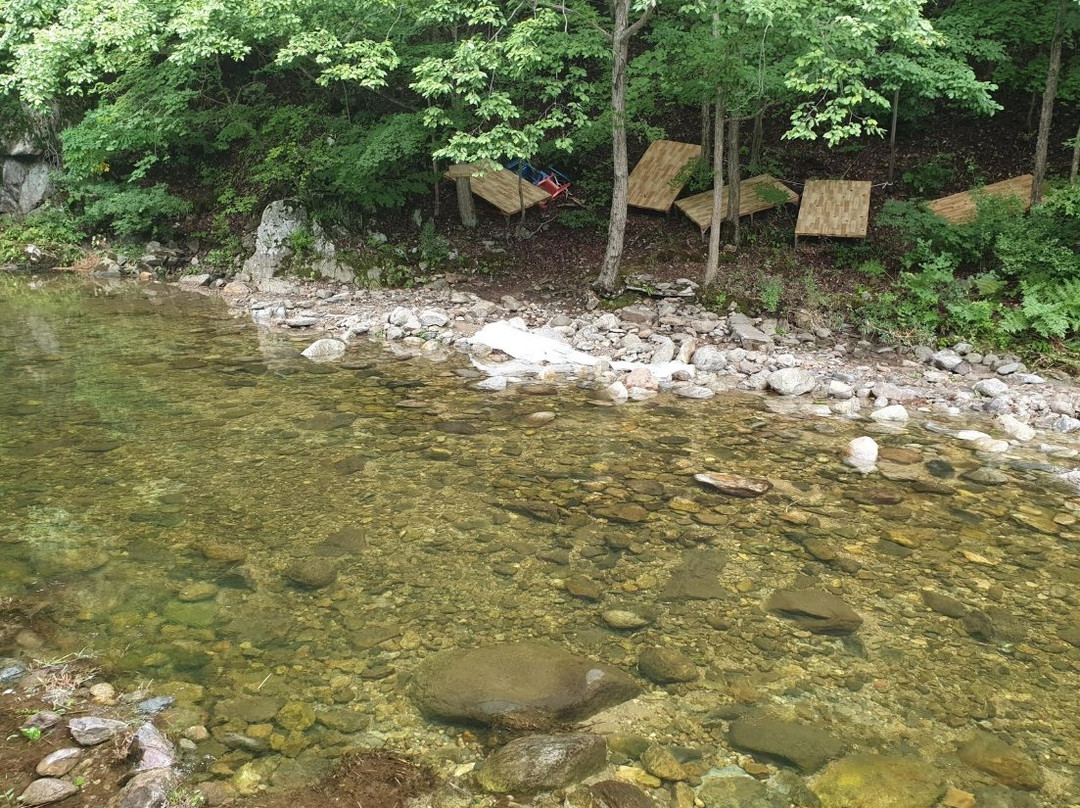 The Starry Night Pension&Camping主图