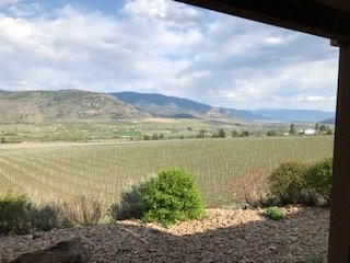 The Villa at Hester Creek主图