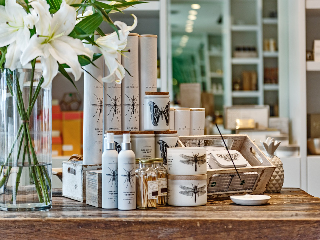 Flowers by EA-普罗维登西亚莱斯必去景点