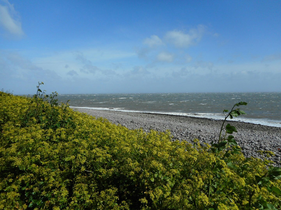 South West Coast Path - Culver Cliff Woodland Walk景点图片