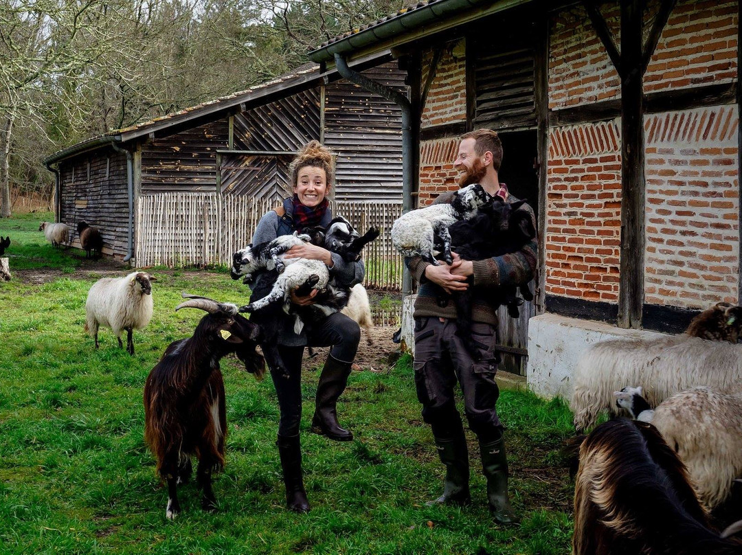 Camdelan la Ferme Fantastique景点图片