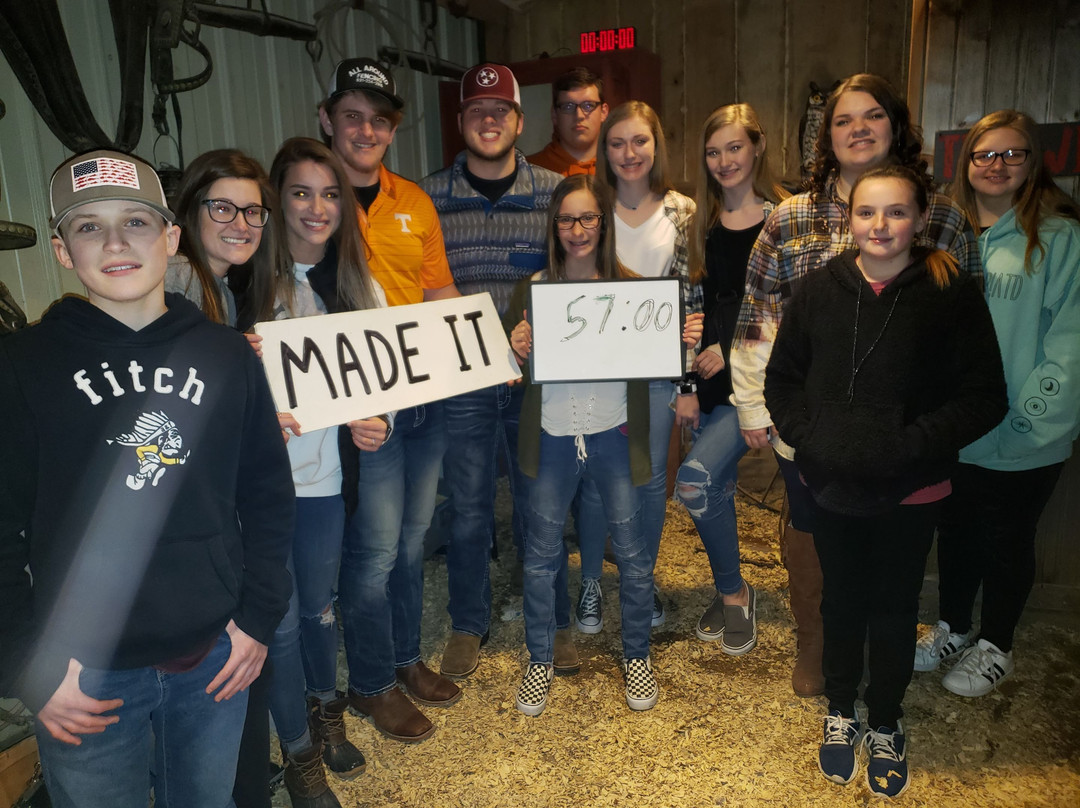 Panic in the Woods Escape Game-哥伦比亚必去景点