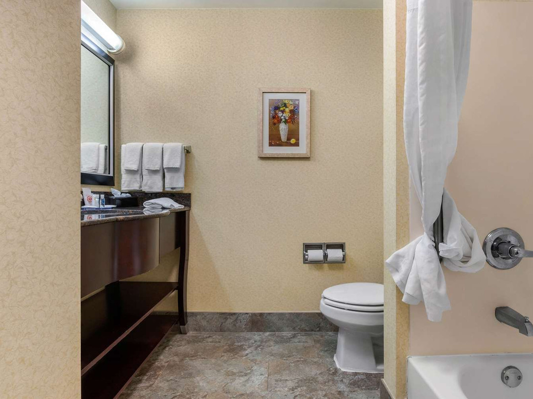 Comfort Inn & Suites Camden主图