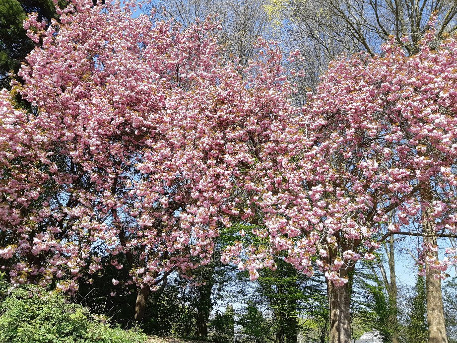 Parc de Brequigny景点图片