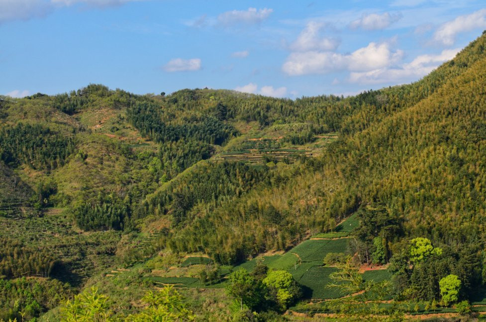 念山梯田-政和县必去景点
