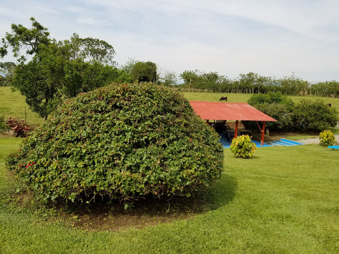 Finca Hotel El Brillante主图