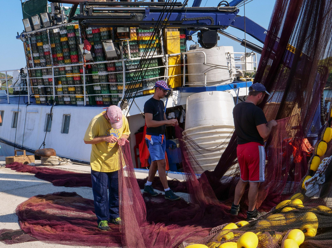 KaJan Experience - Dubrovnik Guide & Tours-杜布罗夫尼克必去景点