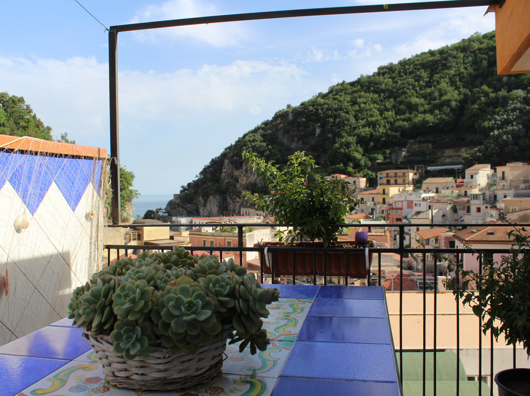 B&B Reginella