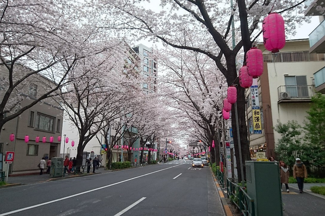 Nakano Street-中野区必去景点