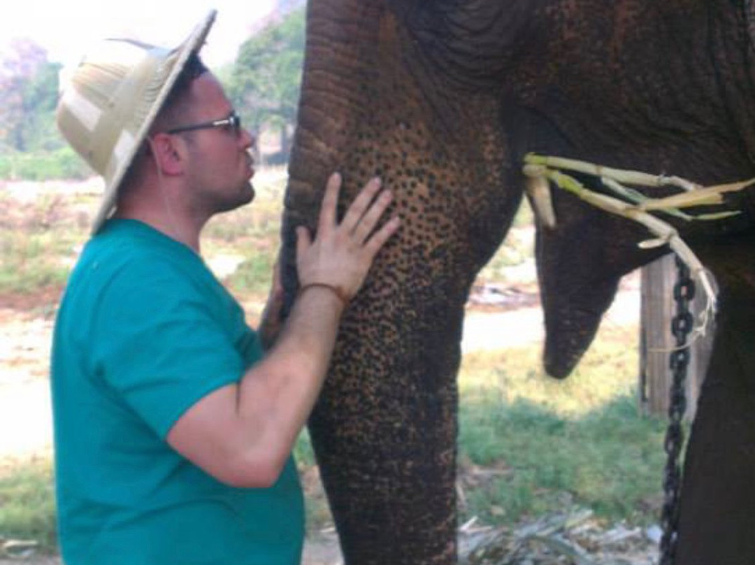 Chiang Mai Elephants Tours景点图片