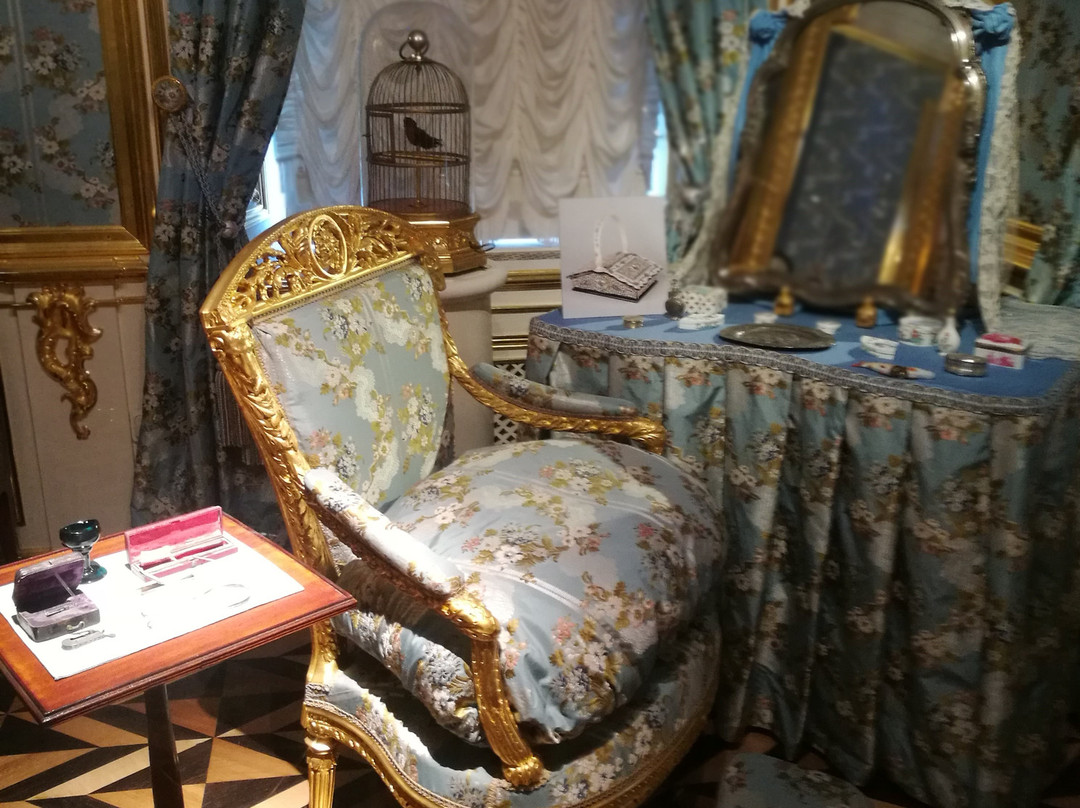 Special Storeroom Museum-彼得霍夫必去景点