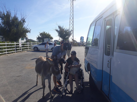 ANC Taxi and Tours-Cockburn Town必去景点