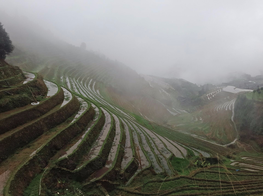 Longji One Day Tours景点图片