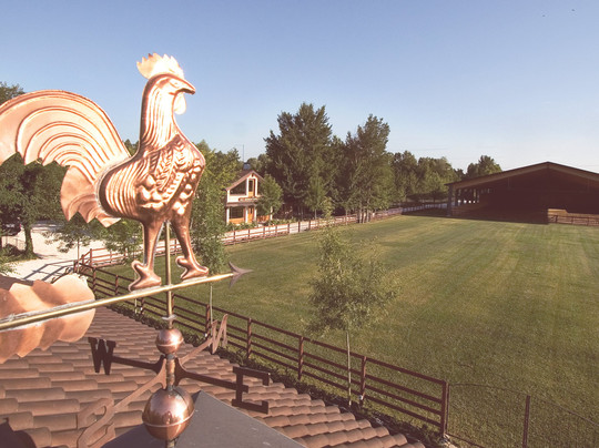 Olmo di Mira酒店住宿-Fiori & Frutti Resort di Campagna