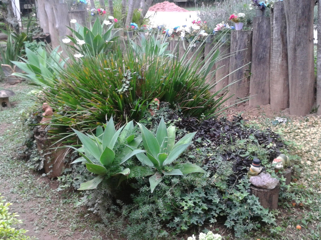 Ateliê Lápis-lazuli-Cunha必去景点