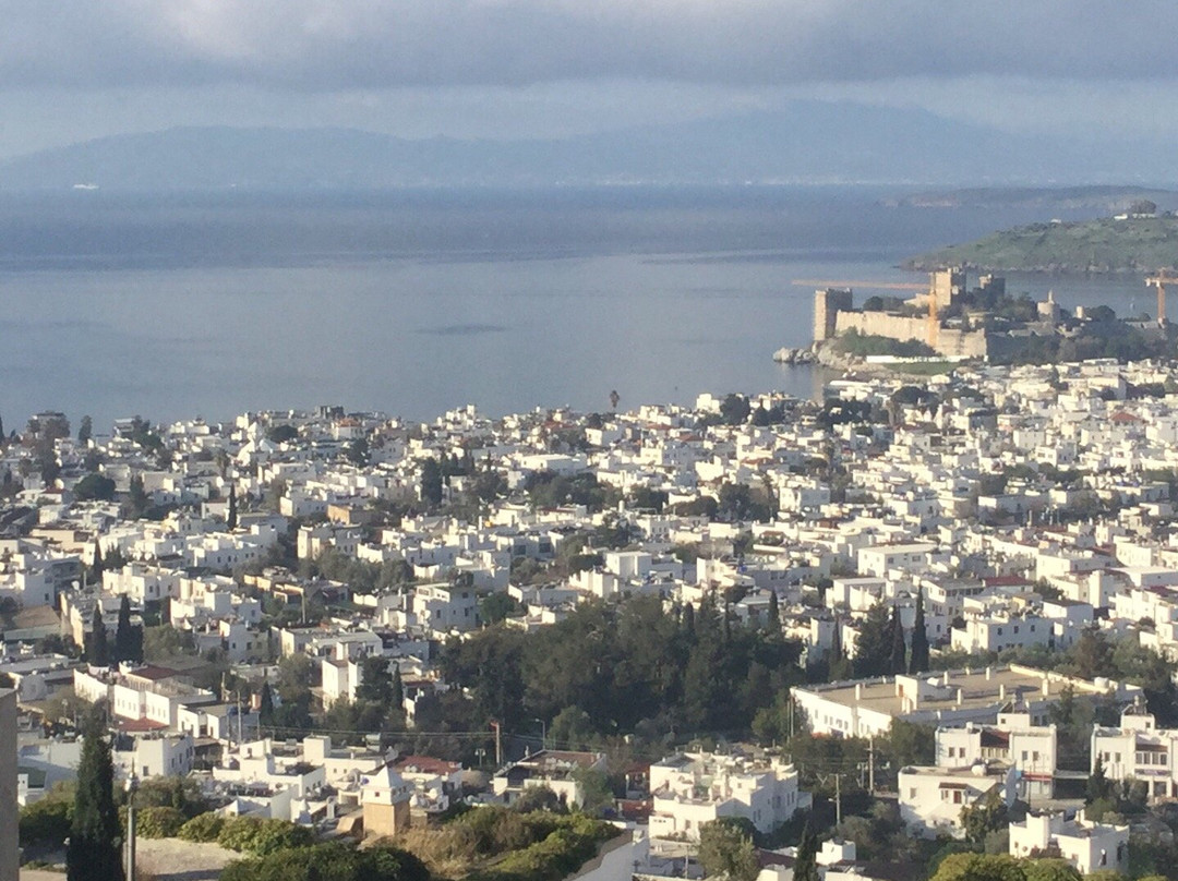 博德鲁姆马尔拉尔酒店主图