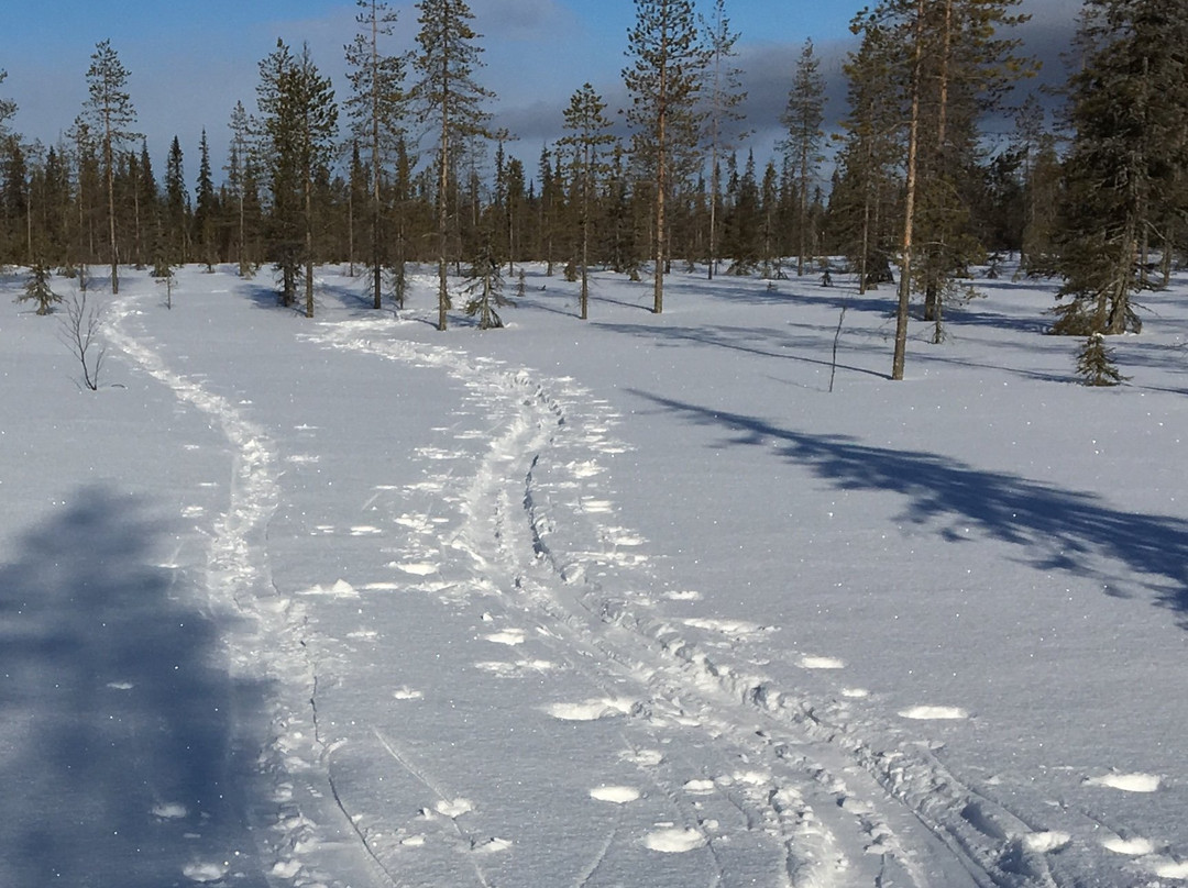 Arctic Horizons-Luosto必去景点