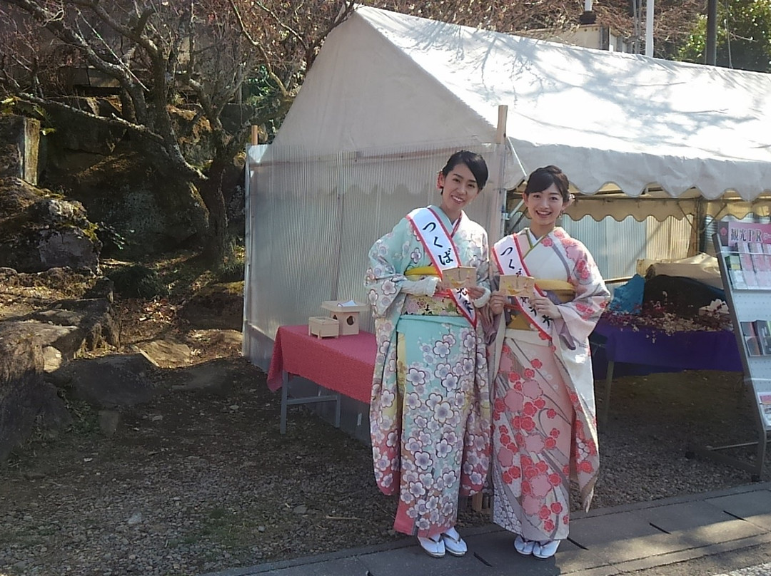 Mt. Tsukuba Ume Blossom Matsuri-筑波市必去景点