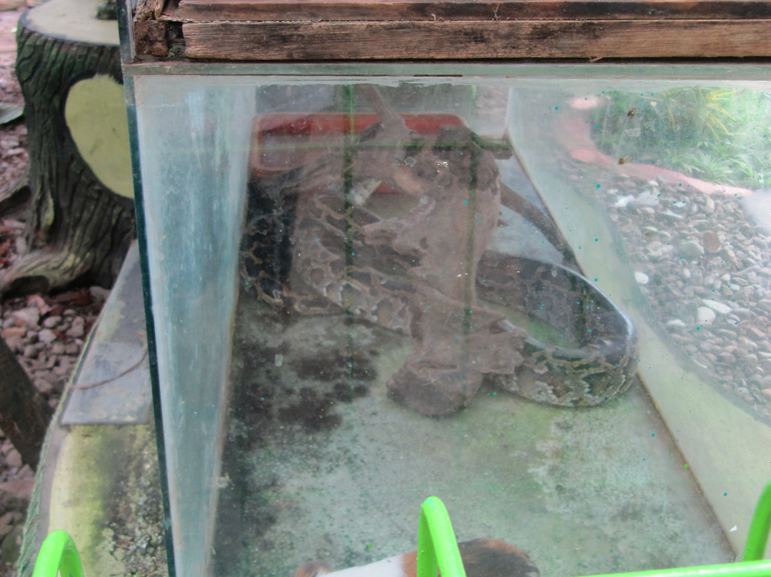 Taman Wisata Studi Lingkungan-庞越必去景点