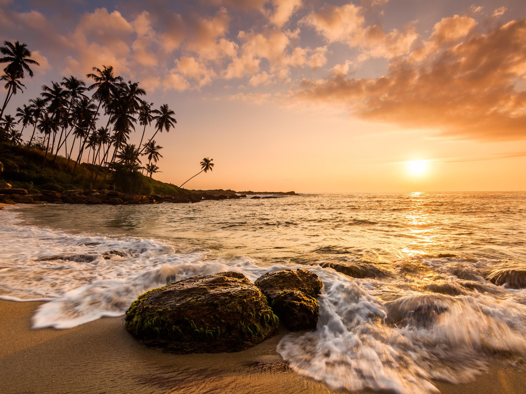 Tropical Lanka Getaways-堪培拉必去景点