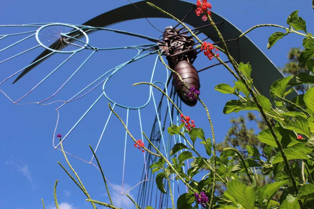 Mobile Botanical Gardens-莫比尔必去景点