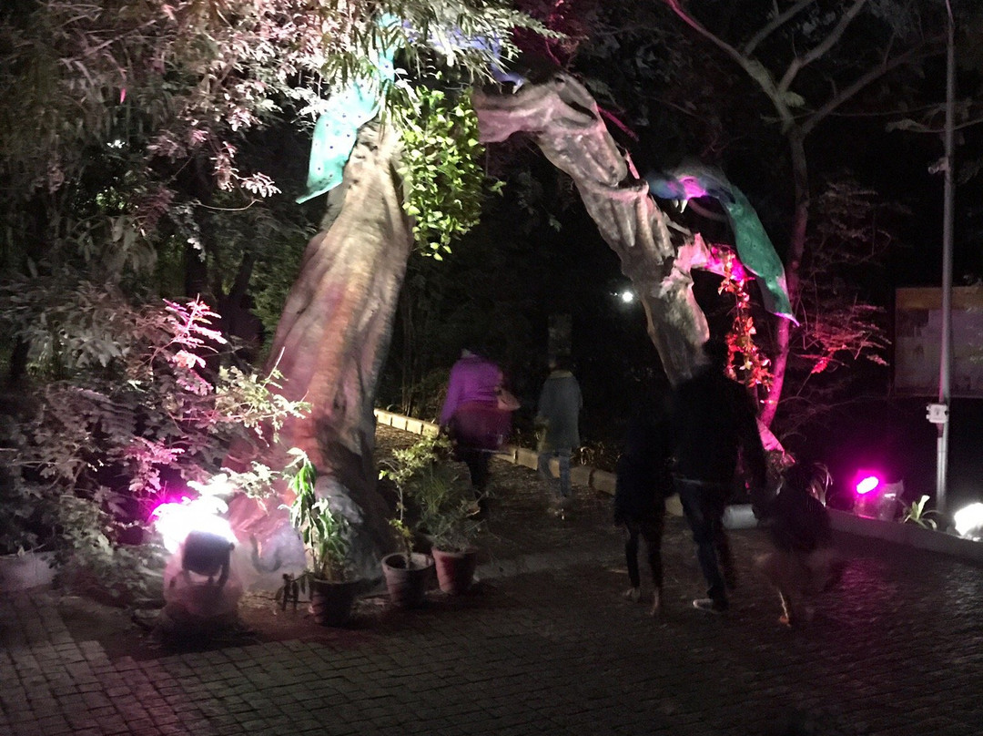 Pandit Jawaharlal Nehru Botanical Garden-纳西克必去景点