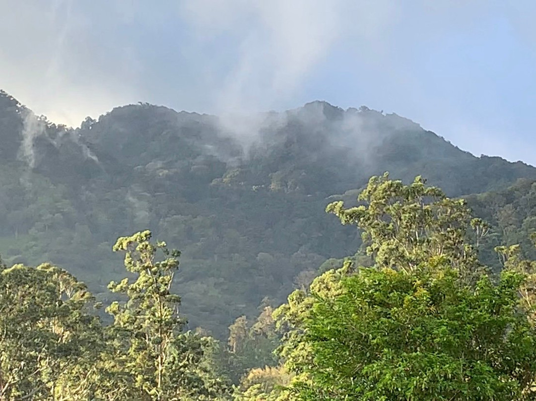 Boquete Garden Inn主图