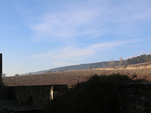 Eglise de Saint-Martin de Fixin-Fixin必去景点