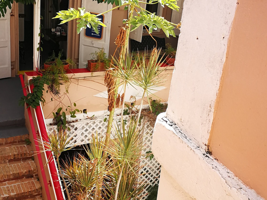 Camille Pissarro Fine Antiques & Print Gallery-圣 托马斯必去景点