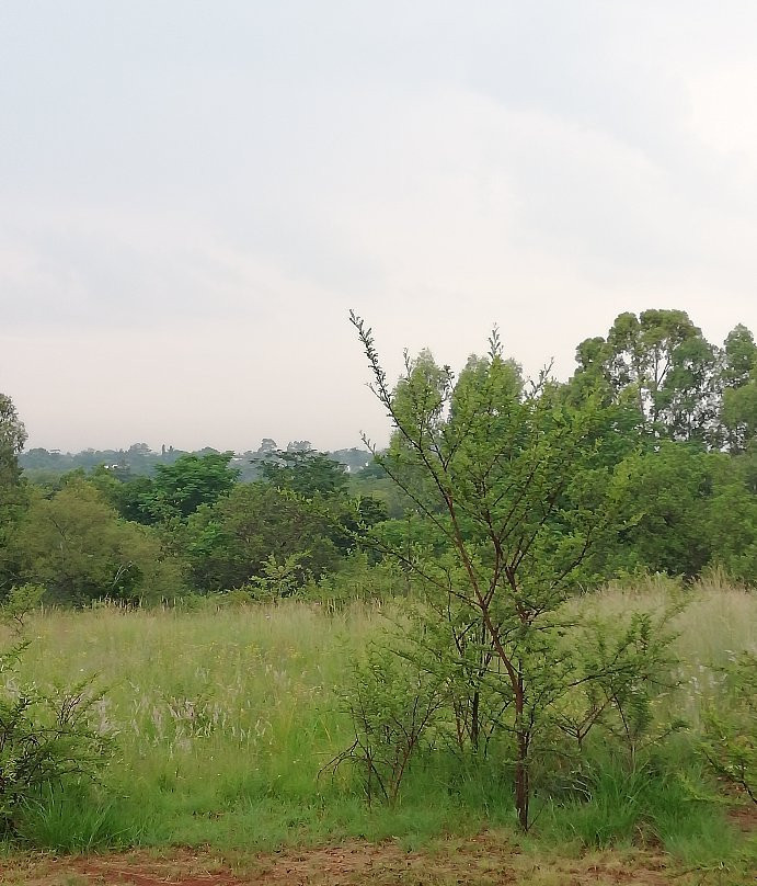 Meerkatplaats Guesthouse and B&B主图