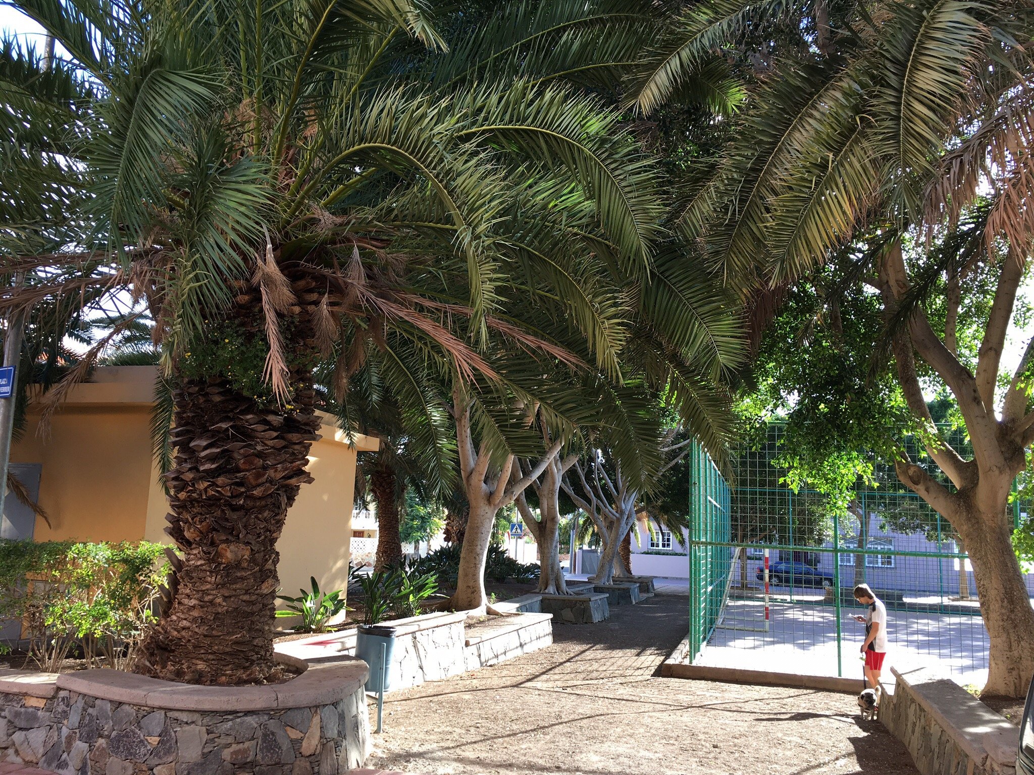 Hogar de Los Suenos-官方