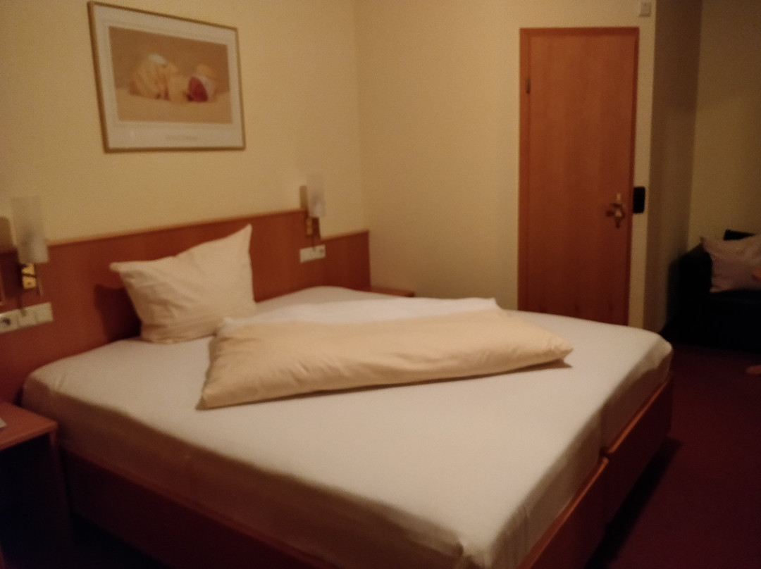 Hotel Rose Heidelberg主图