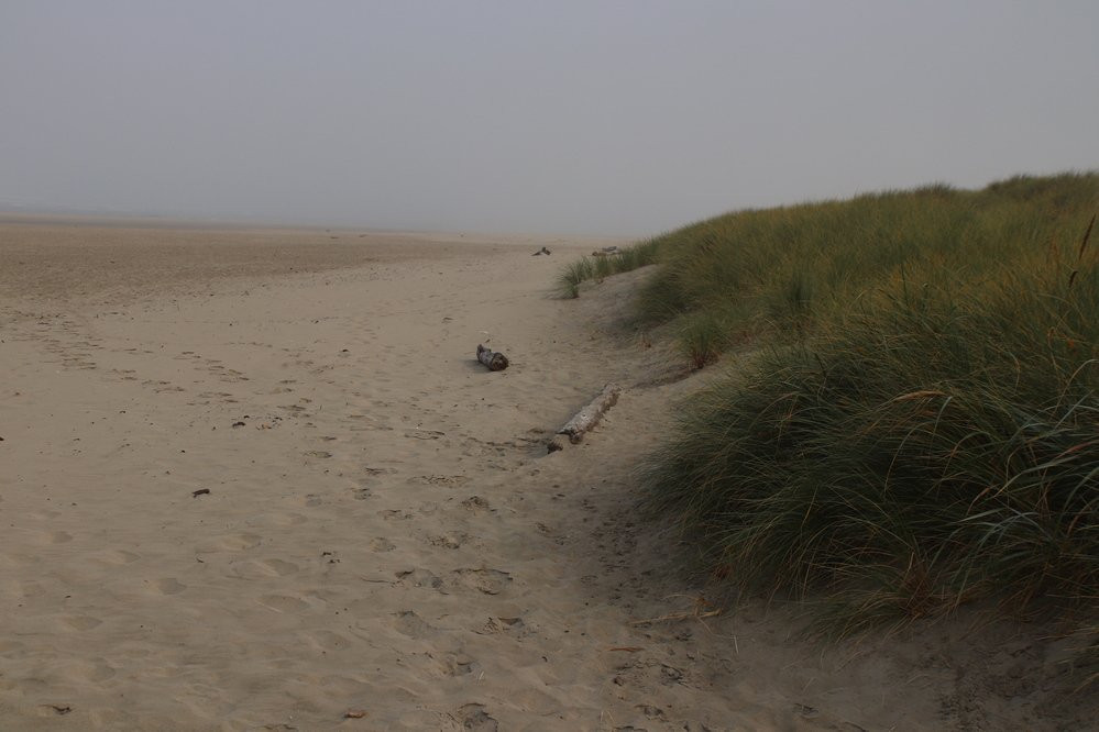 Governor Patterson Memorial State Recreation Site-Waldport必去景点