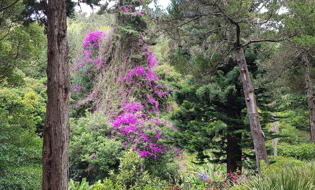 Napoleon's Tomb-St Helena Island必去景点