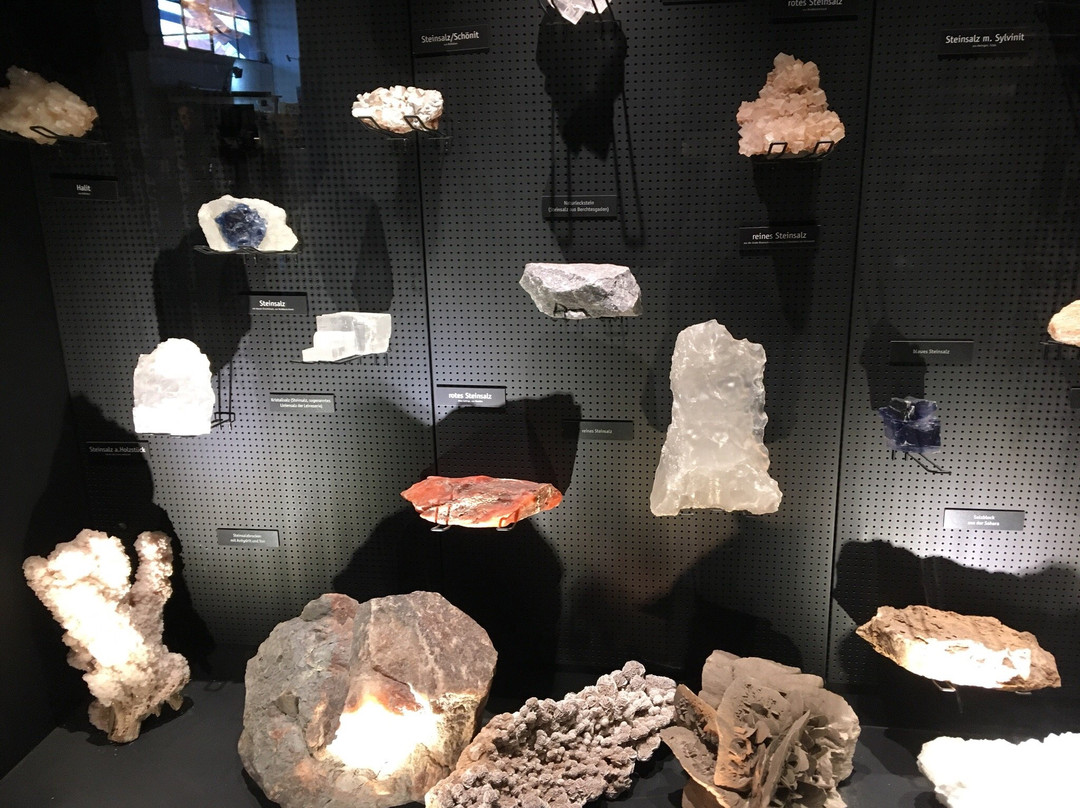 German Salt Museum景点图片