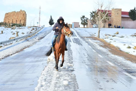 Haïdra Ruins-Haidra必去景点