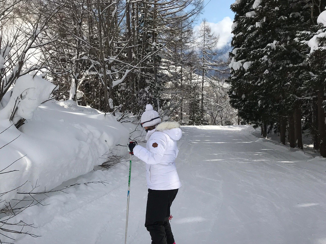 Hakuba Norikura Onsen Ski Resort景点图片