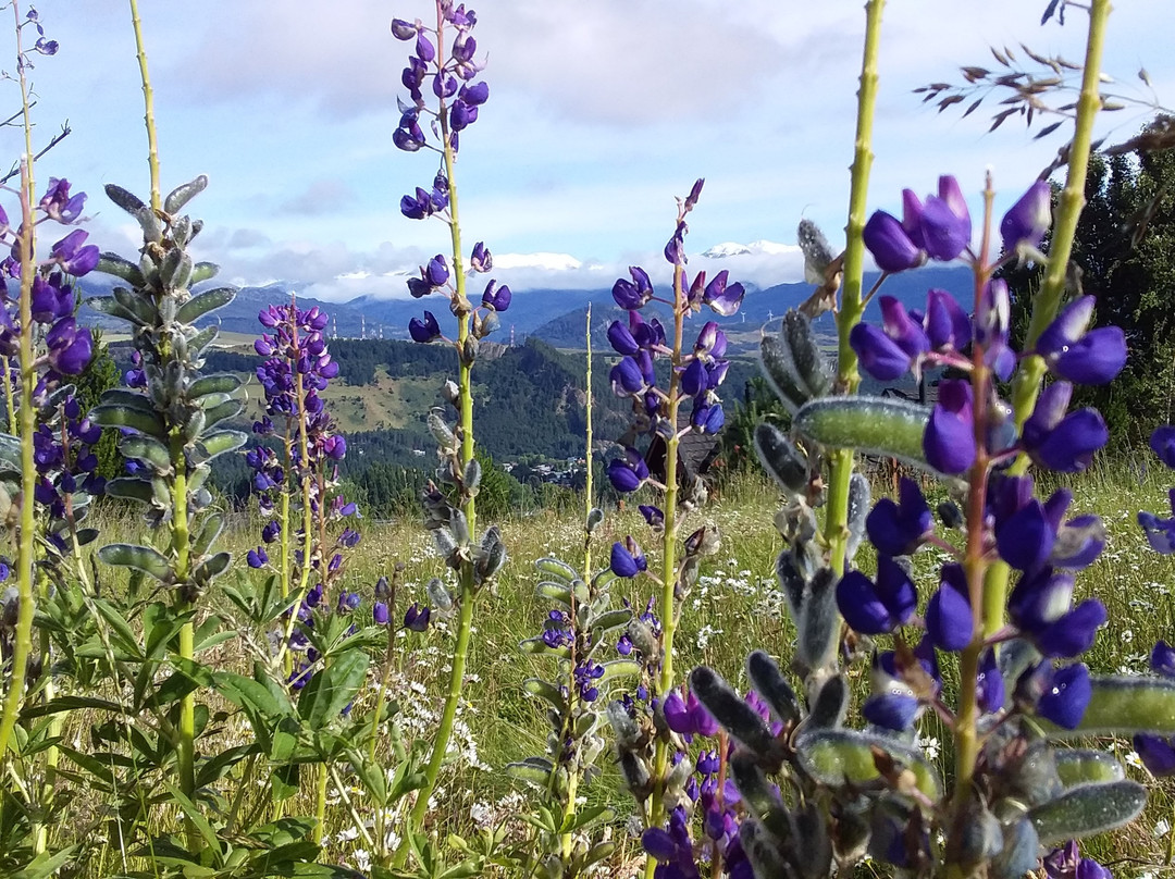 巴塔哥尼亚之家酒店主图