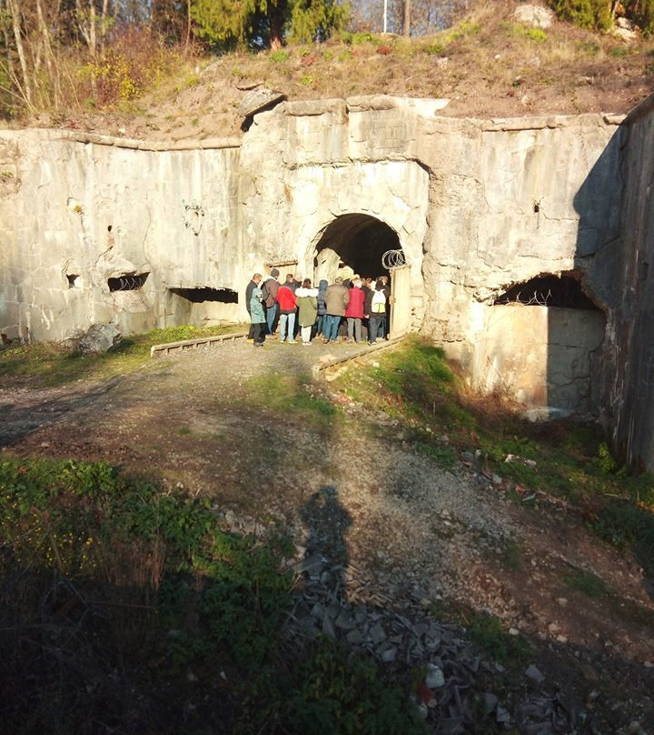 Fort de Manonviller景点图片