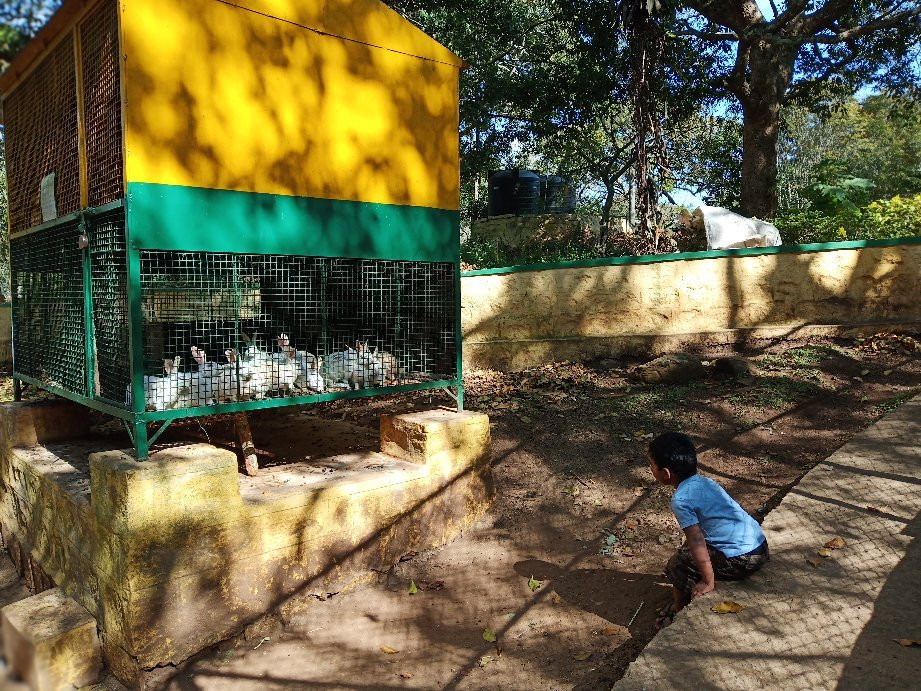 Deer Park-亚尔考德必去景点