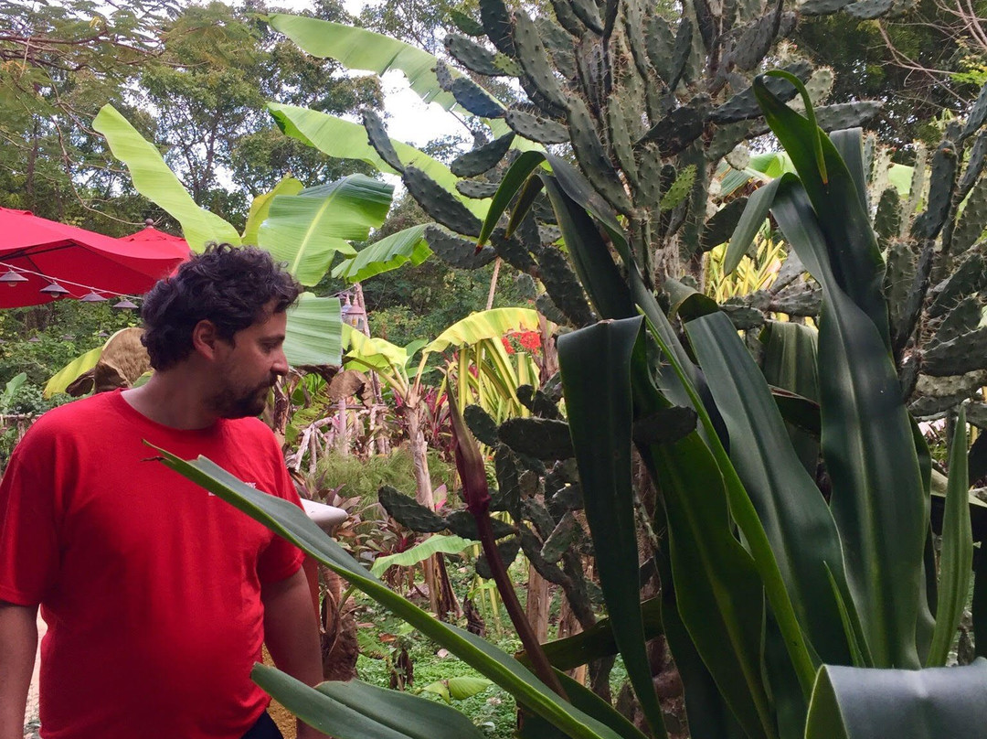 The Pickled Onion B&B and Restaurant主图