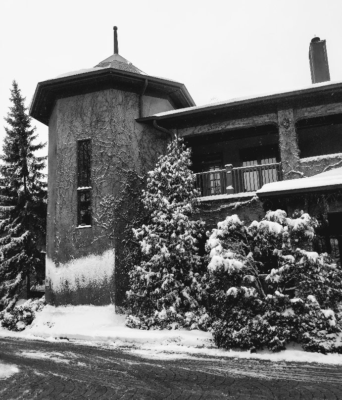 Lynfred Winery-Roselle必去景点