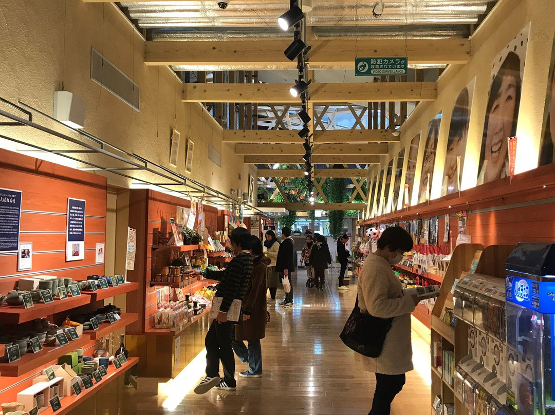 Iitate Village Michi-no-Eki Madeikan-饭馆村必去景点