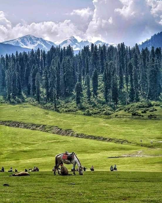 COUNTRYSIDE KASHMIR-贡马必去景点