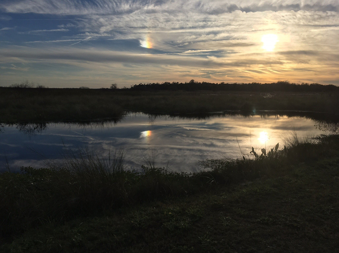 Lake Woodruff National Wildlife Refuge景点图片