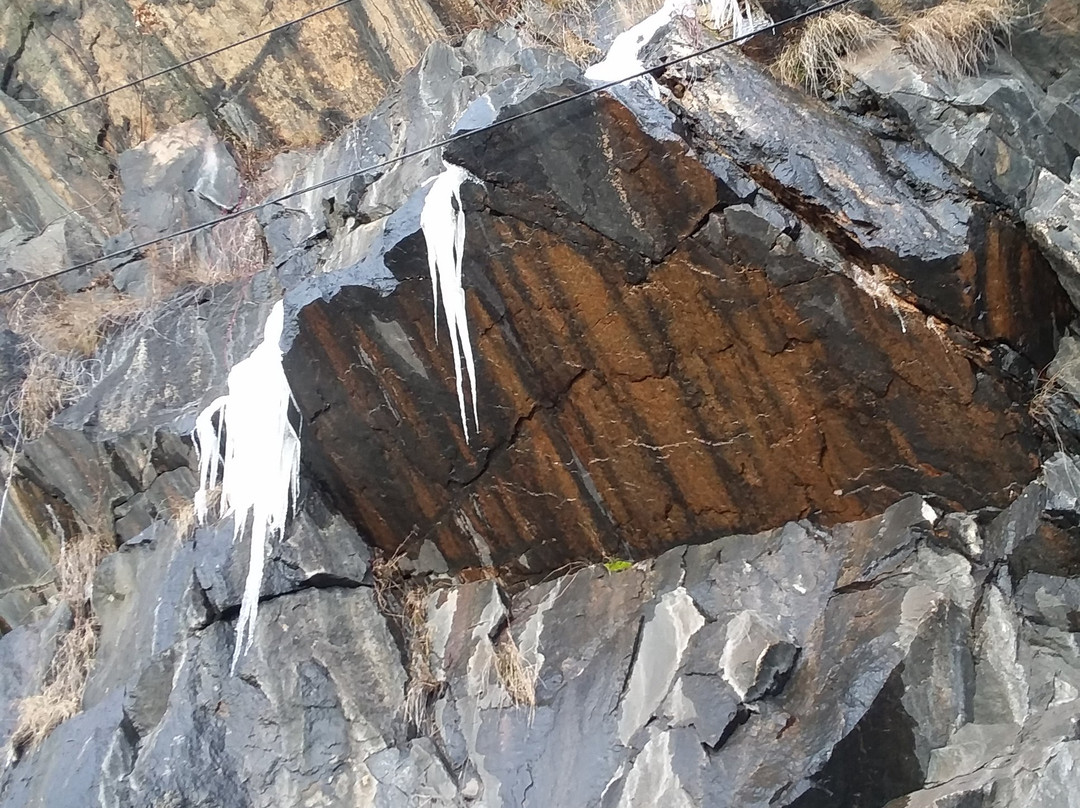 Annsville Creek Preserve景点图片