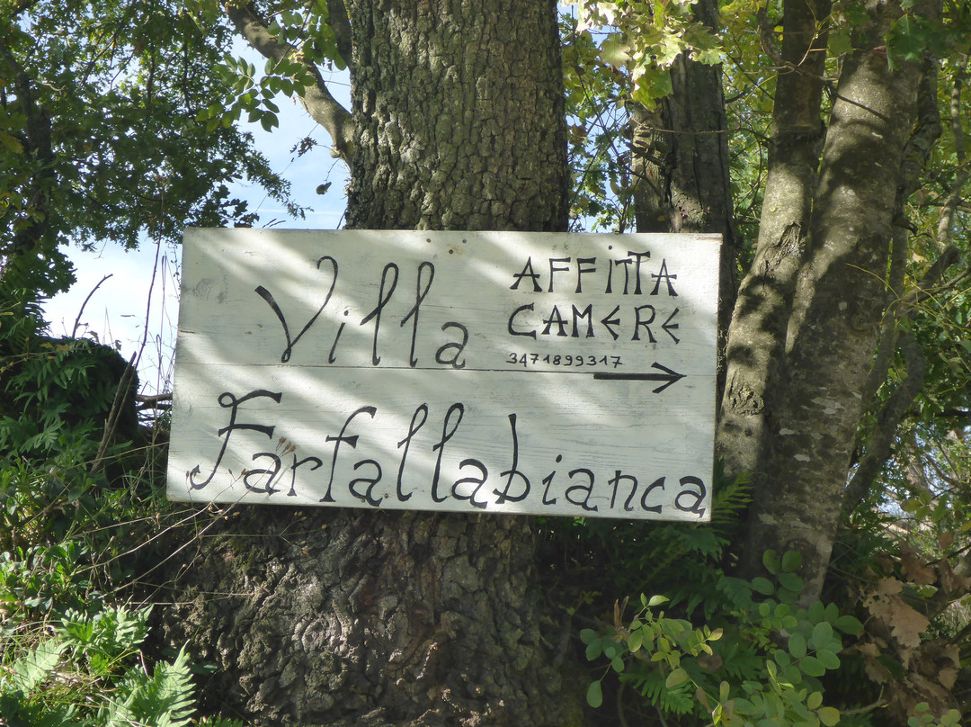 Villa Farfalla Bianca主图