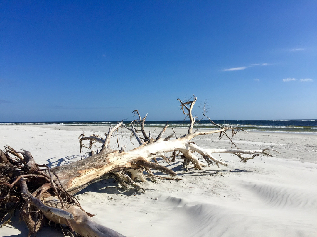 Little Talbot Island State Park景点图片