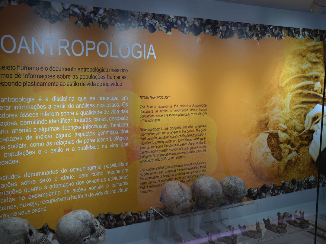Museu Arqueológico de Sambaqui景点图片